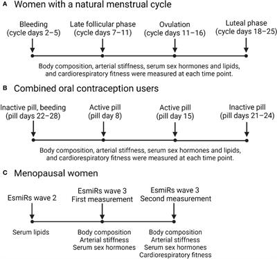 Associations of Sex Hormones and Hormonal Status With Arterial Stiffness in a Female Sample From Reproductive Years to Menopause